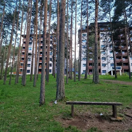 Apartament Royal Dream *