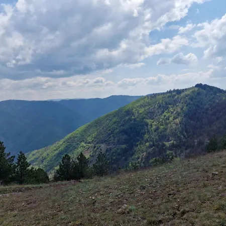 شقة Royal Dream *