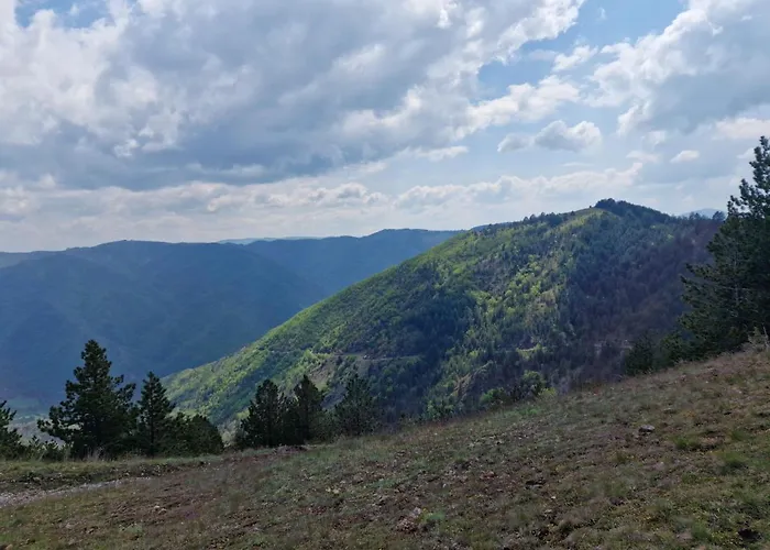 شقة Royal Dream *